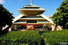 2026年自治区党政军领导和首府各界代表义务植树